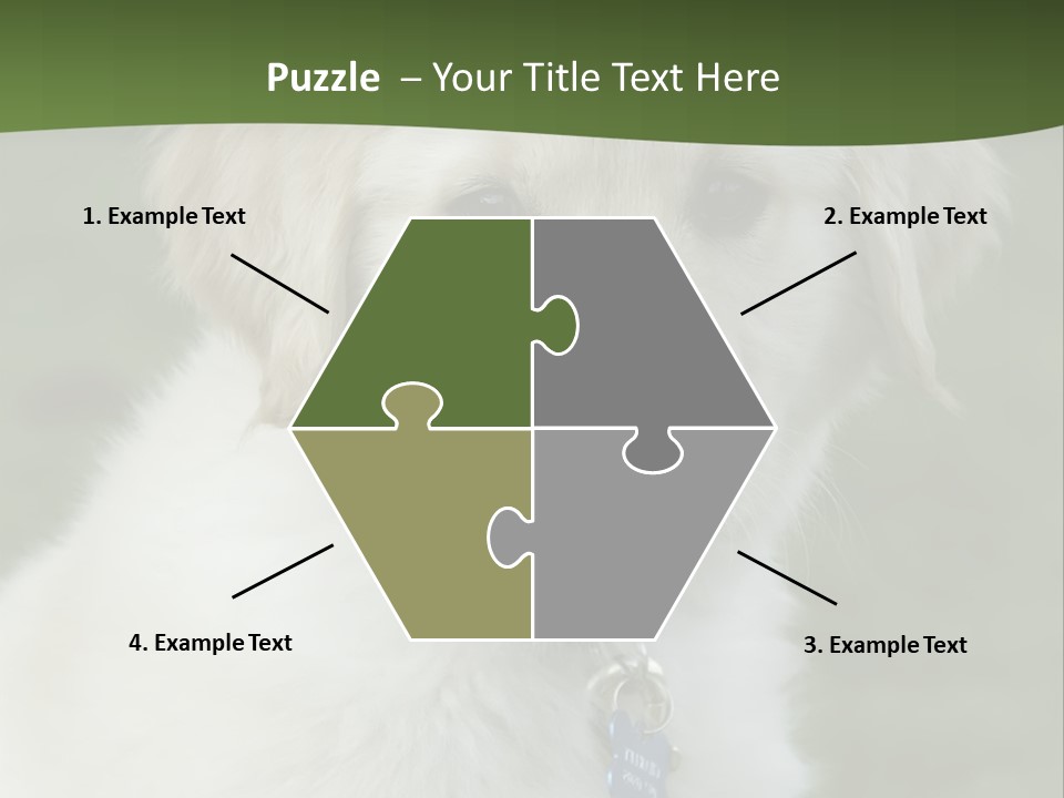 Golden Retriever Puppy PowerPoint Template