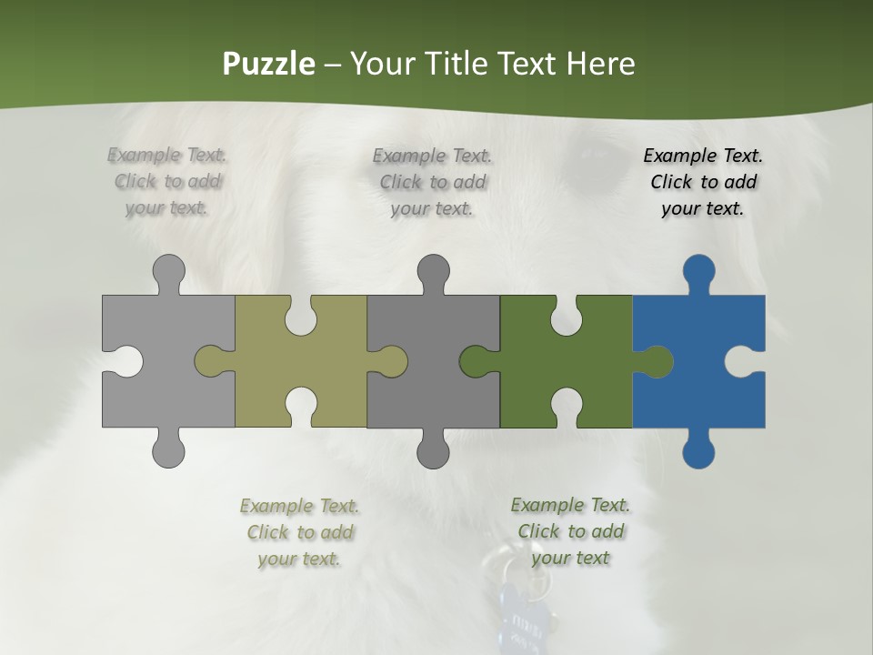 Golden Retriever Puppy PowerPoint Template