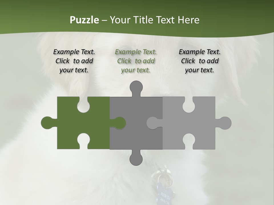 Golden Retriever Puppy PowerPoint Template