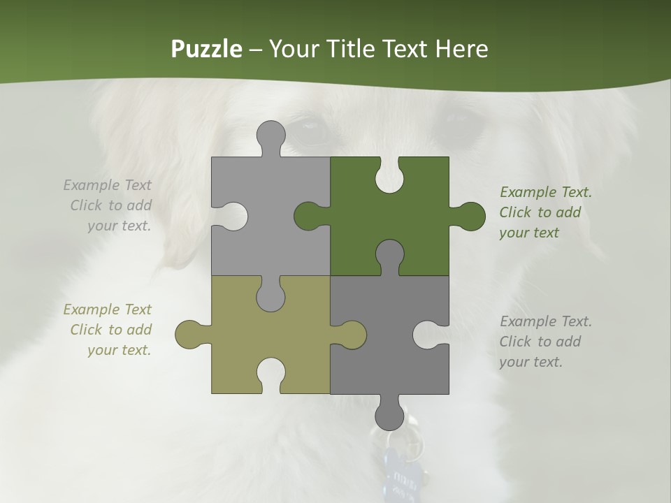 Golden Retriever Puppy PowerPoint Template