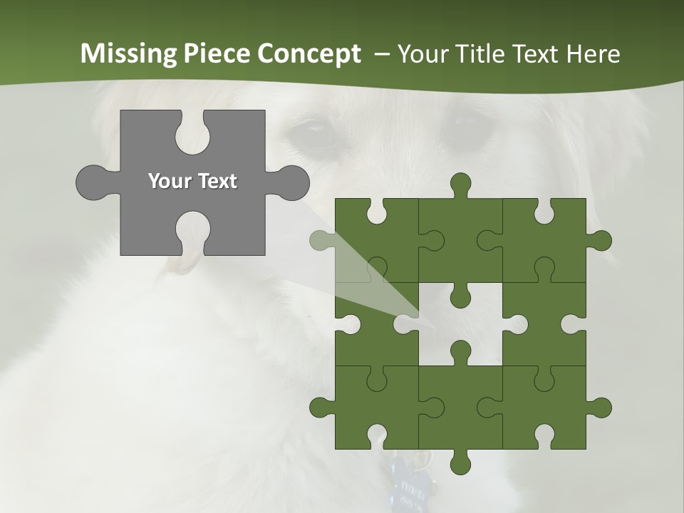 Golden Retriever Puppy PowerPoint Template