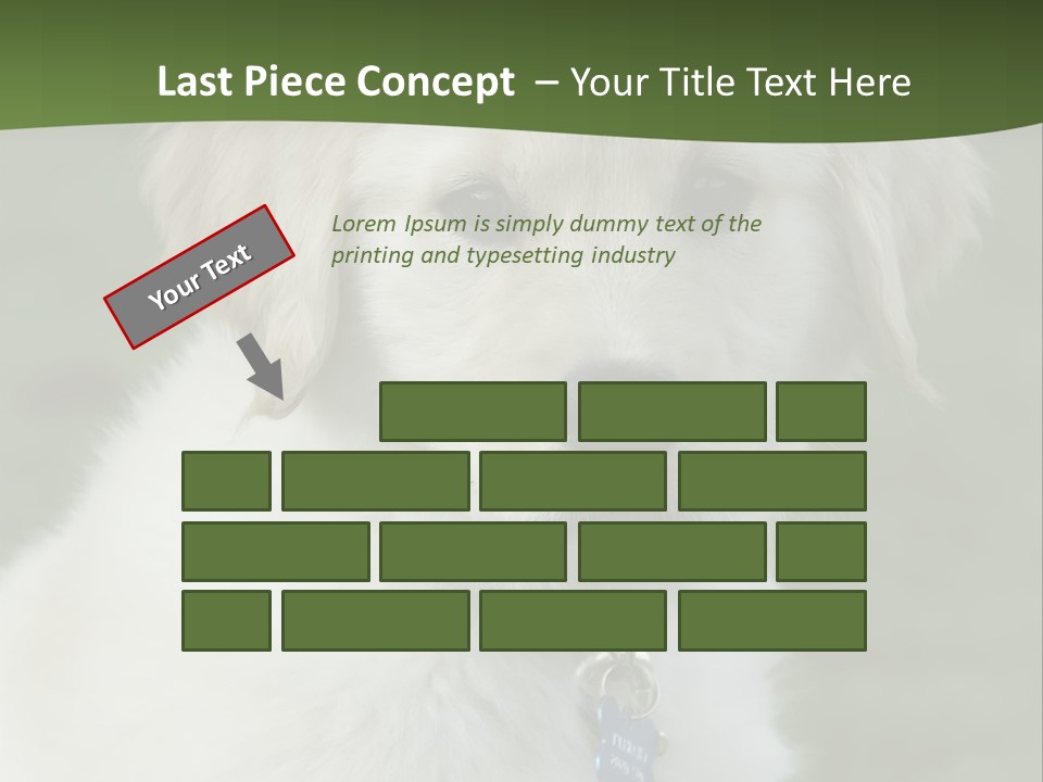 Golden Retriever Puppy PowerPoint Template