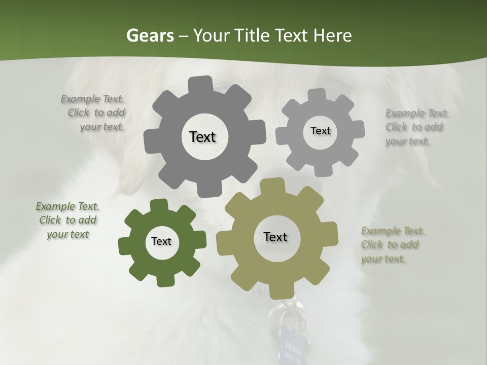 Golden Retriever Puppy PowerPoint Template