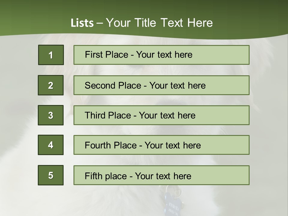 Golden Retriever Puppy PowerPoint Template