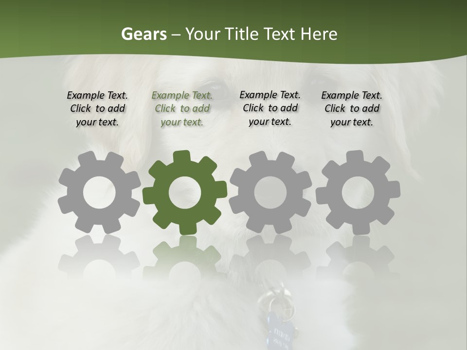 Golden Retriever Puppy PowerPoint Template