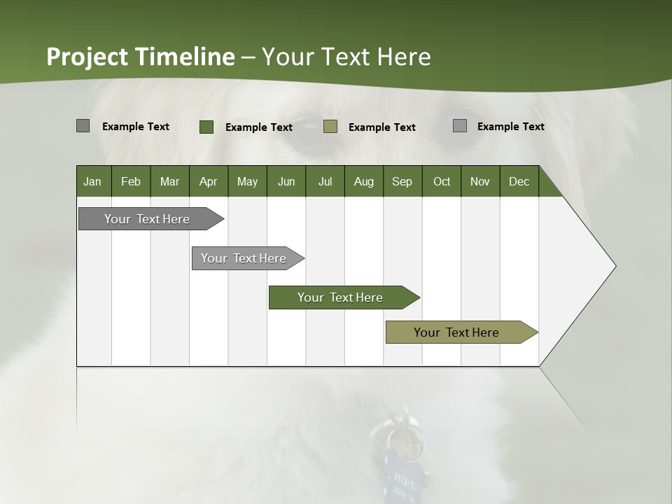 Golden Retriever Puppy PowerPoint Template