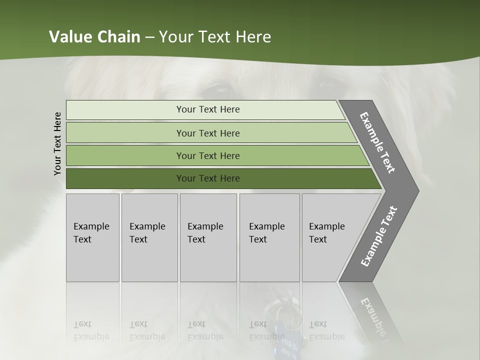 Golden Retriever Puppy PowerPoint Template