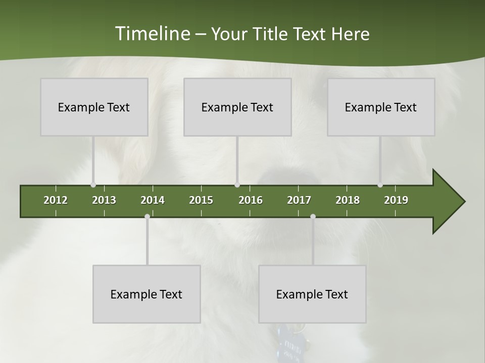 Golden Retriever Puppy PowerPoint Template