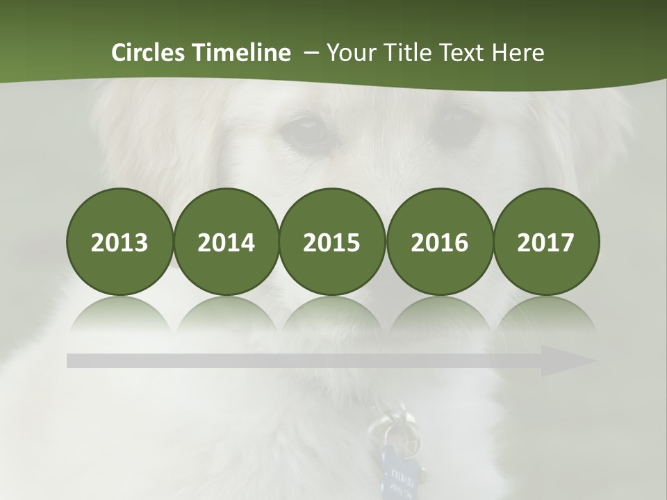 Golden Retriever Puppy PowerPoint Template
