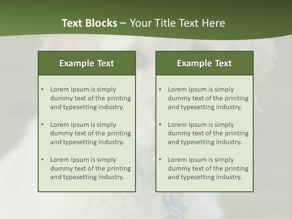 Golden Retriever Puppy PowerPoint Template