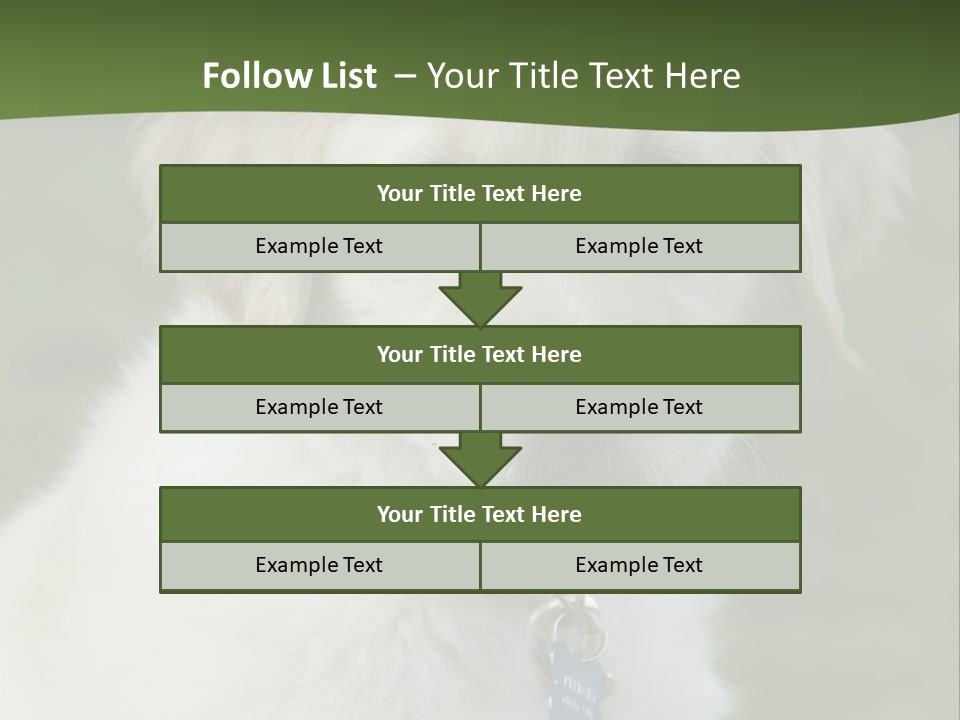 Golden Retriever Puppy PowerPoint Template