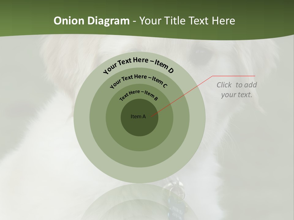 Golden Retriever Puppy PowerPoint Template