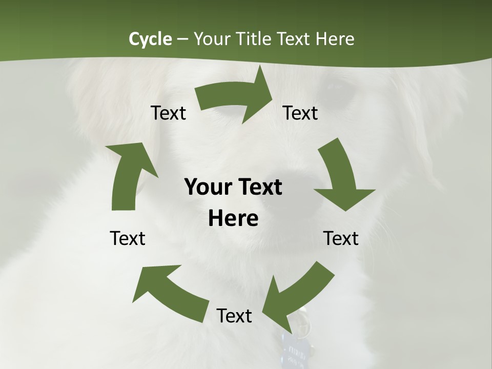 Golden Retriever Puppy PowerPoint Template