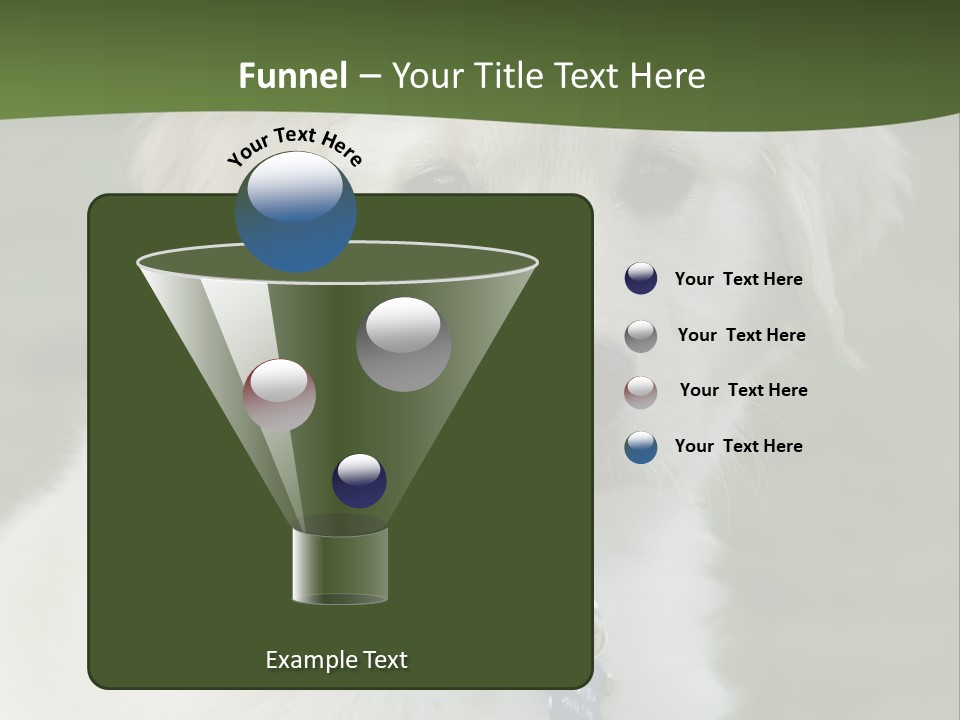 Golden Retriever Puppy PowerPoint Template