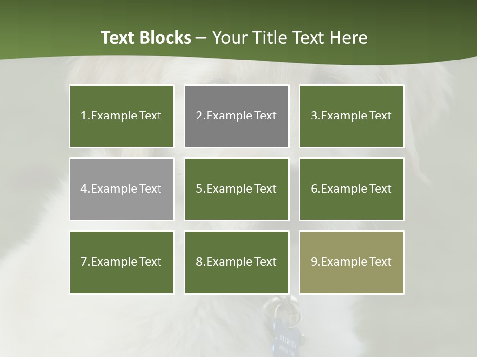 Golden Retriever Puppy PowerPoint Template