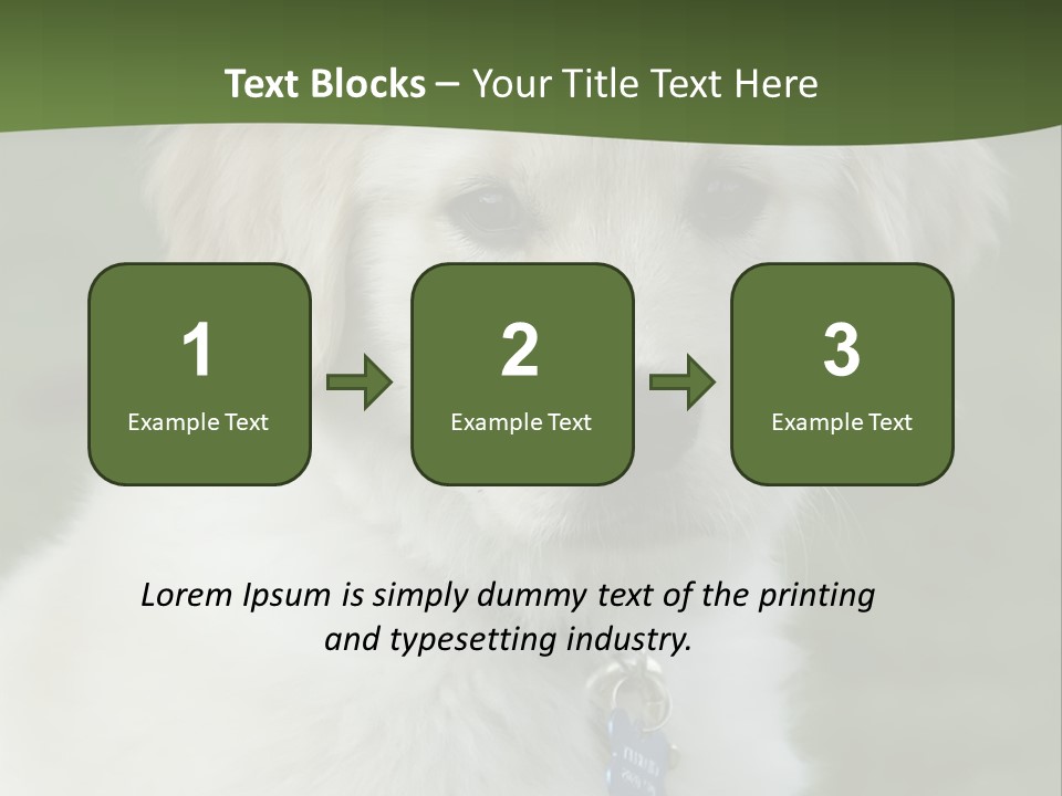 Golden Retriever Puppy PowerPoint Template
