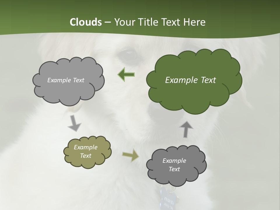 Golden Retriever Puppy PowerPoint Template