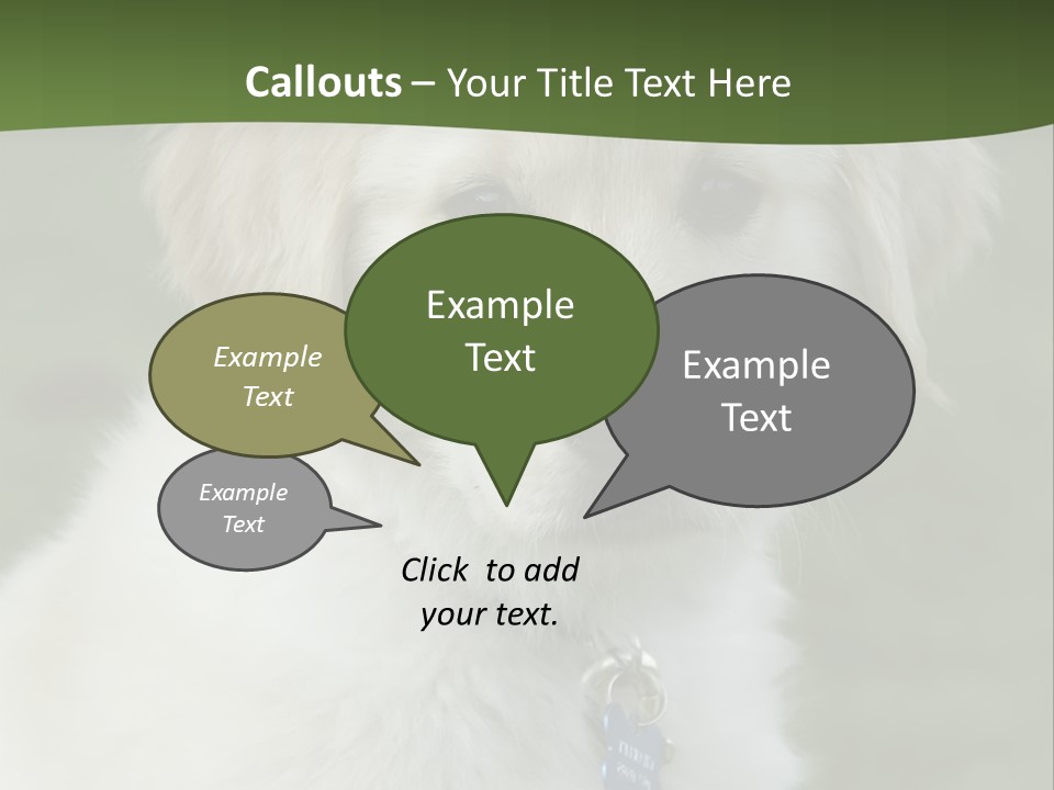 Golden Retriever Puppy PowerPoint Template