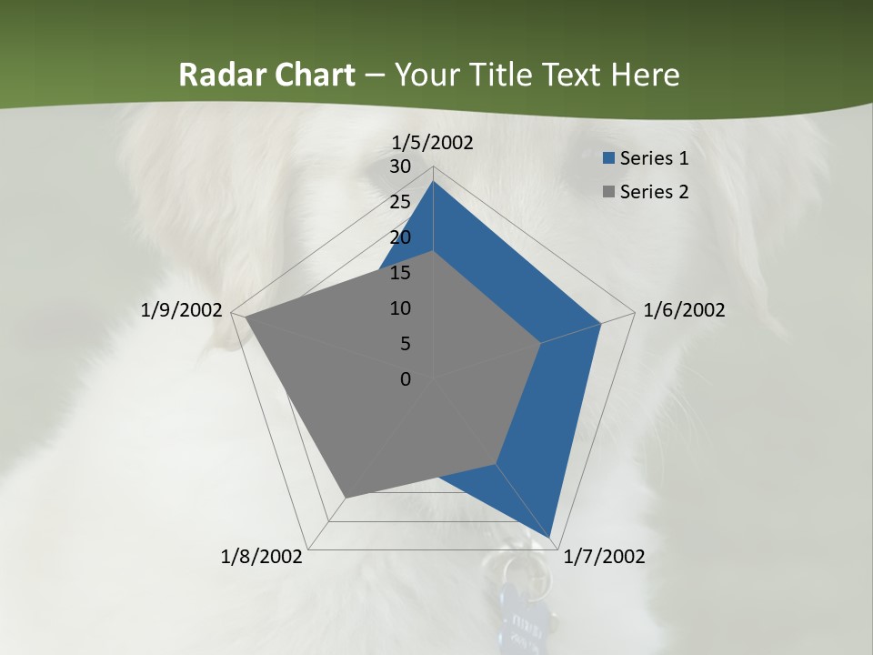Golden Retriever Puppy PowerPoint Template