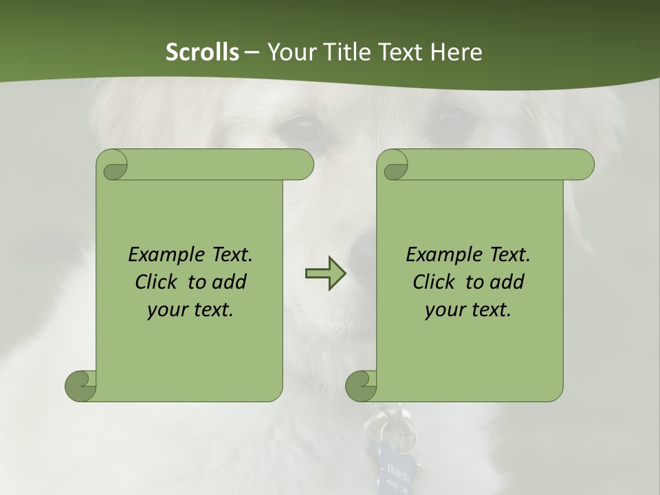 Golden Retriever Puppy PowerPoint Template