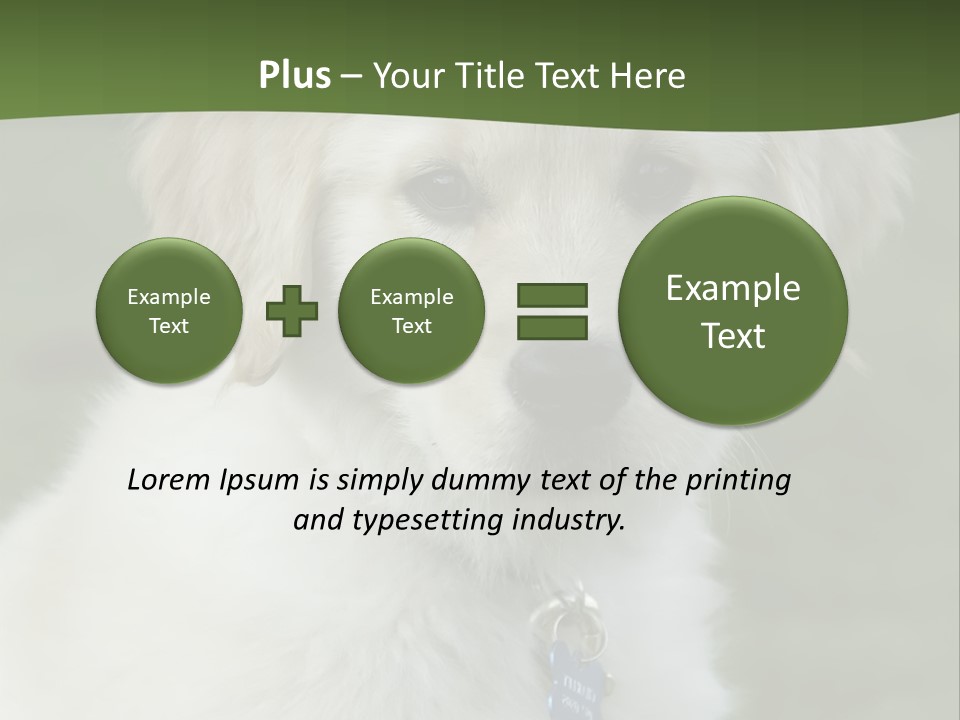 Golden Retriever Puppy PowerPoint Template