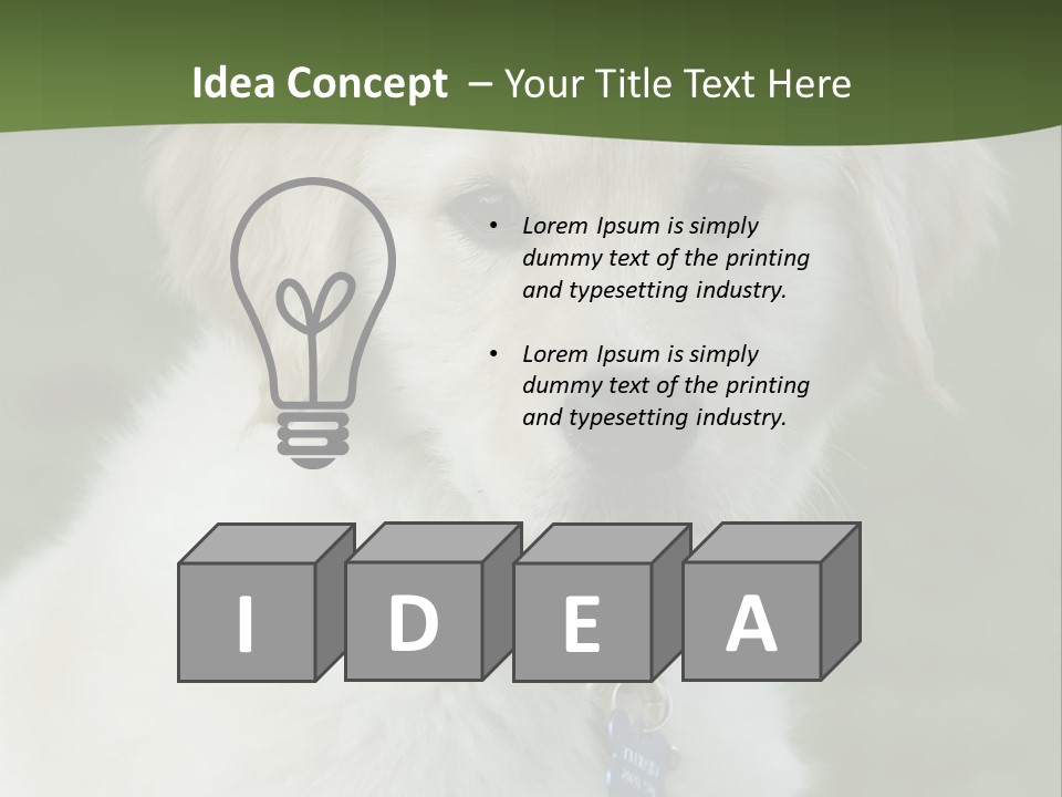 Golden Retriever Puppy PowerPoint Template