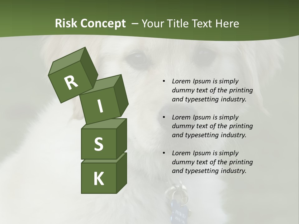 Golden Retriever Puppy PowerPoint Template