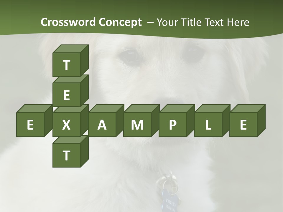 Golden Retriever Puppy PowerPoint Template