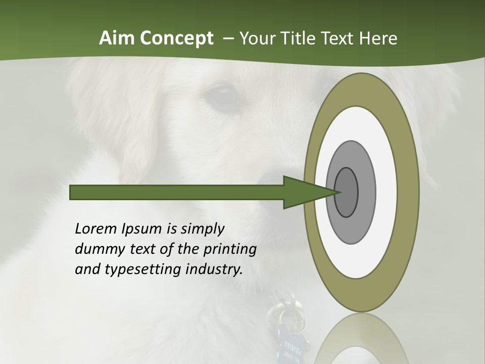 Golden Retriever Puppy PowerPoint Template