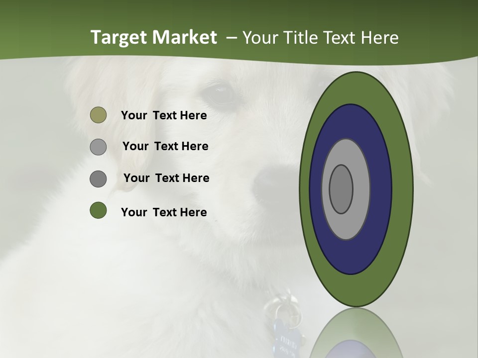 Golden Retriever Puppy PowerPoint Template