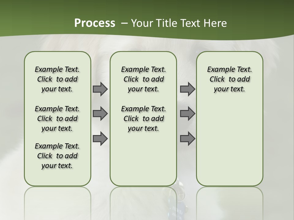 Golden Retriever Puppy PowerPoint Template