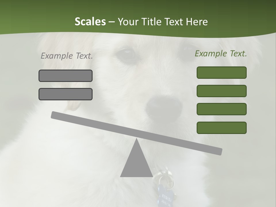 Golden Retriever Puppy PowerPoint Template