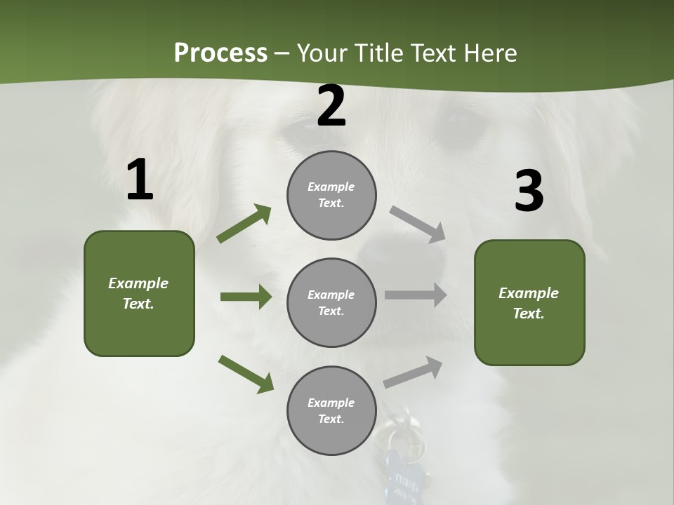 Golden Retriever Puppy PowerPoint Template