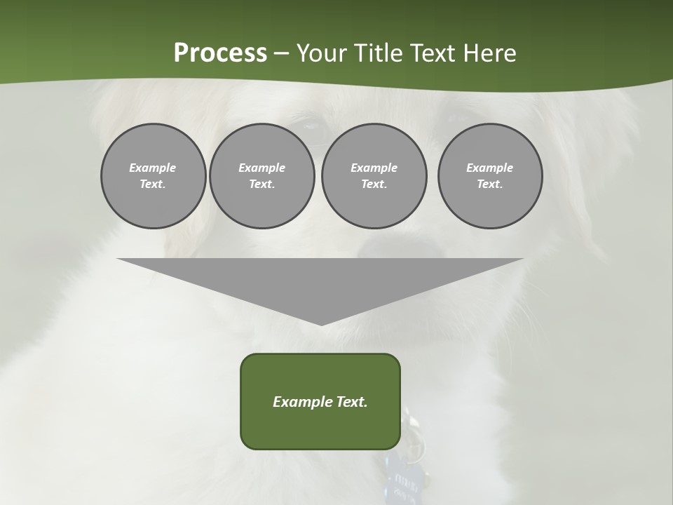 Golden Retriever Puppy PowerPoint Template