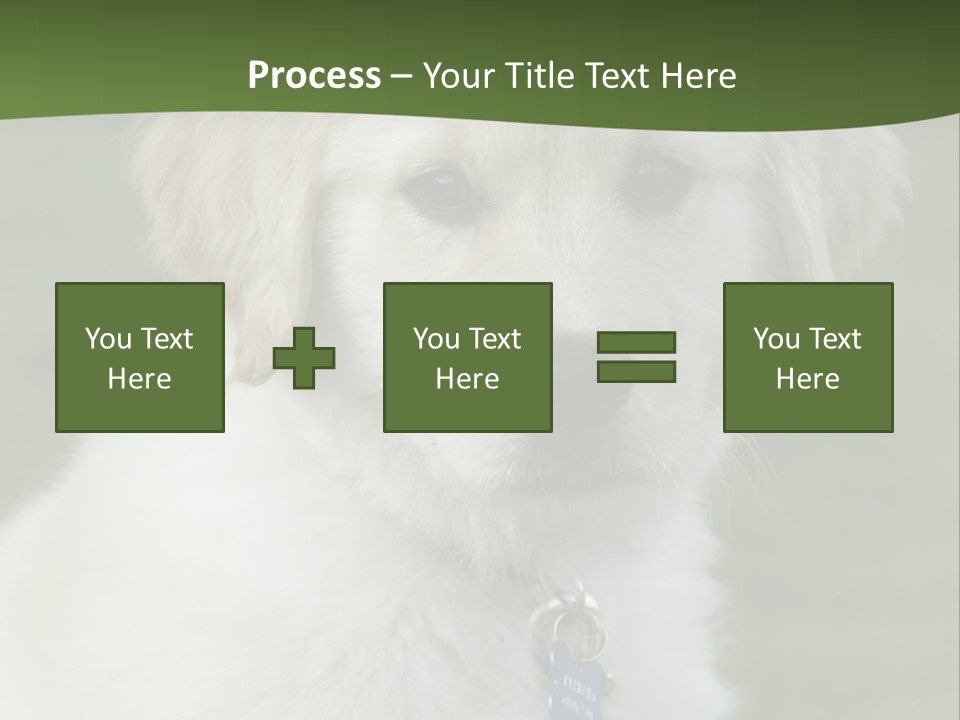 Golden Retriever Puppy PowerPoint Template