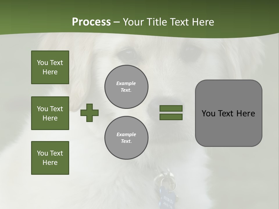 Golden Retriever Puppy PowerPoint Template