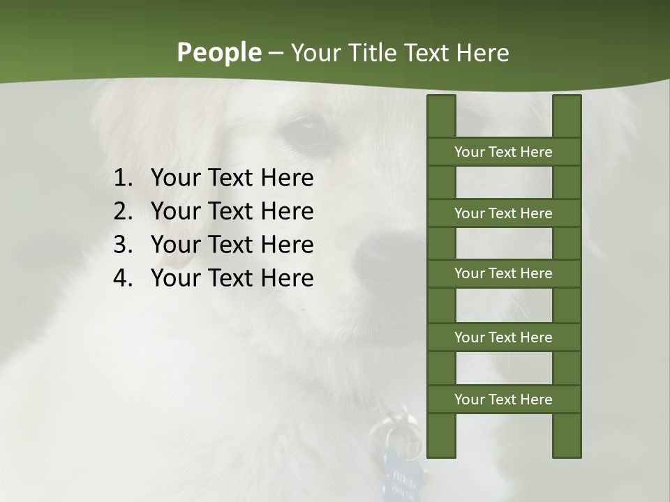 Golden Retriever Puppy PowerPoint Template