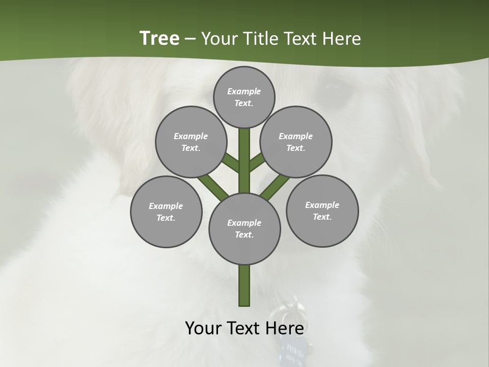 Golden Retriever Puppy PowerPoint Template