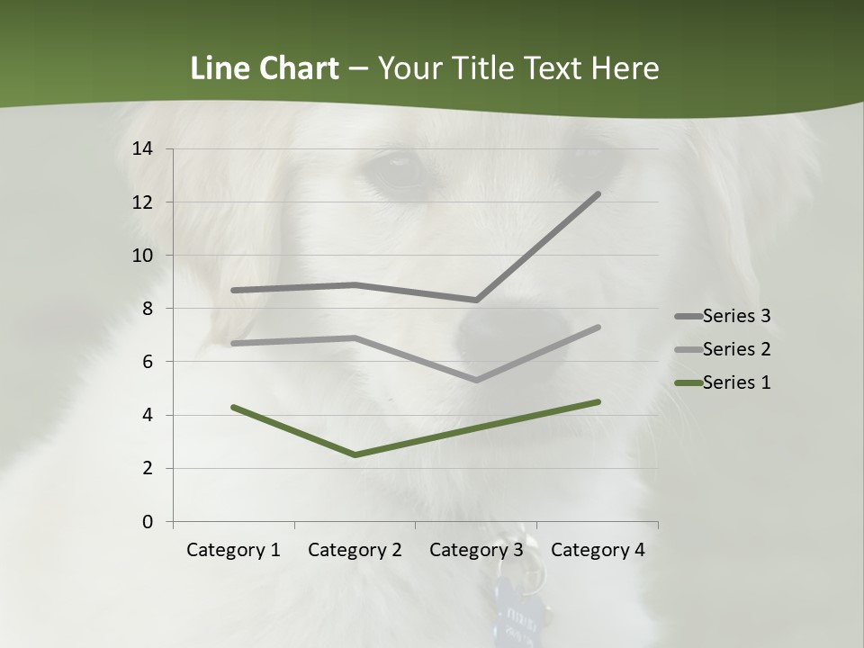 Golden Retriever Puppy PowerPoint Template