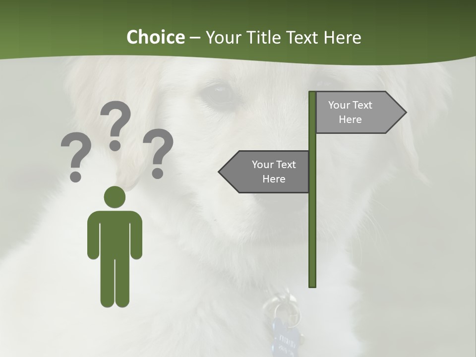 Golden Retriever Puppy PowerPoint Template