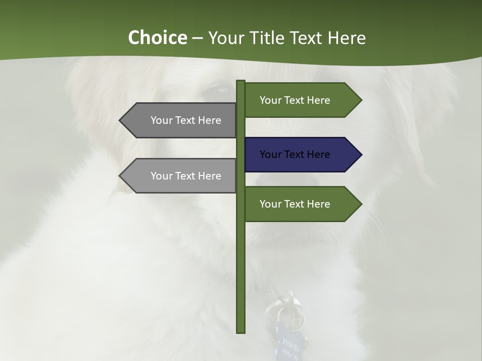 Golden Retriever Puppy PowerPoint Template