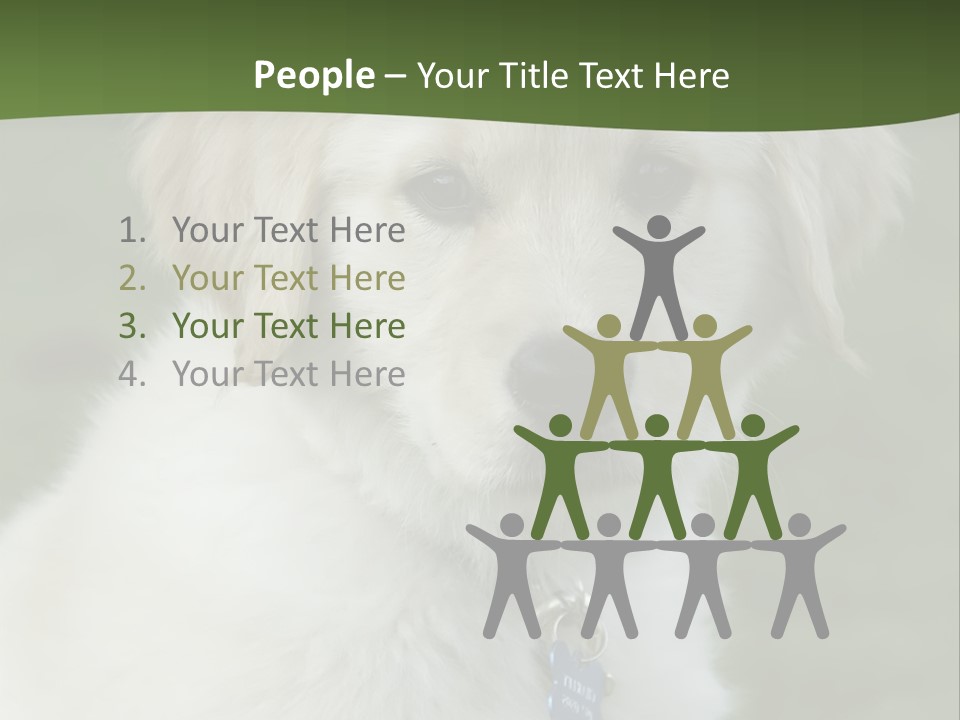 Golden Retriever Puppy PowerPoint Template