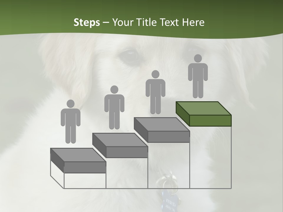 Golden Retriever Puppy PowerPoint Template