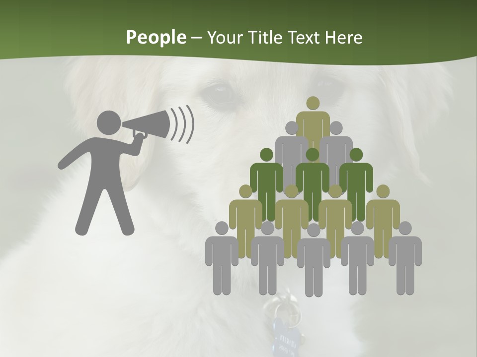 Golden Retriever Puppy PowerPoint Template