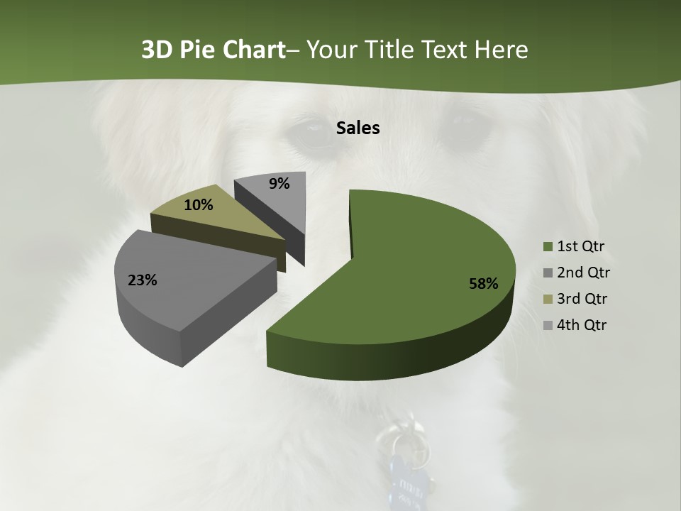 Golden Retriever Puppy PowerPoint Template