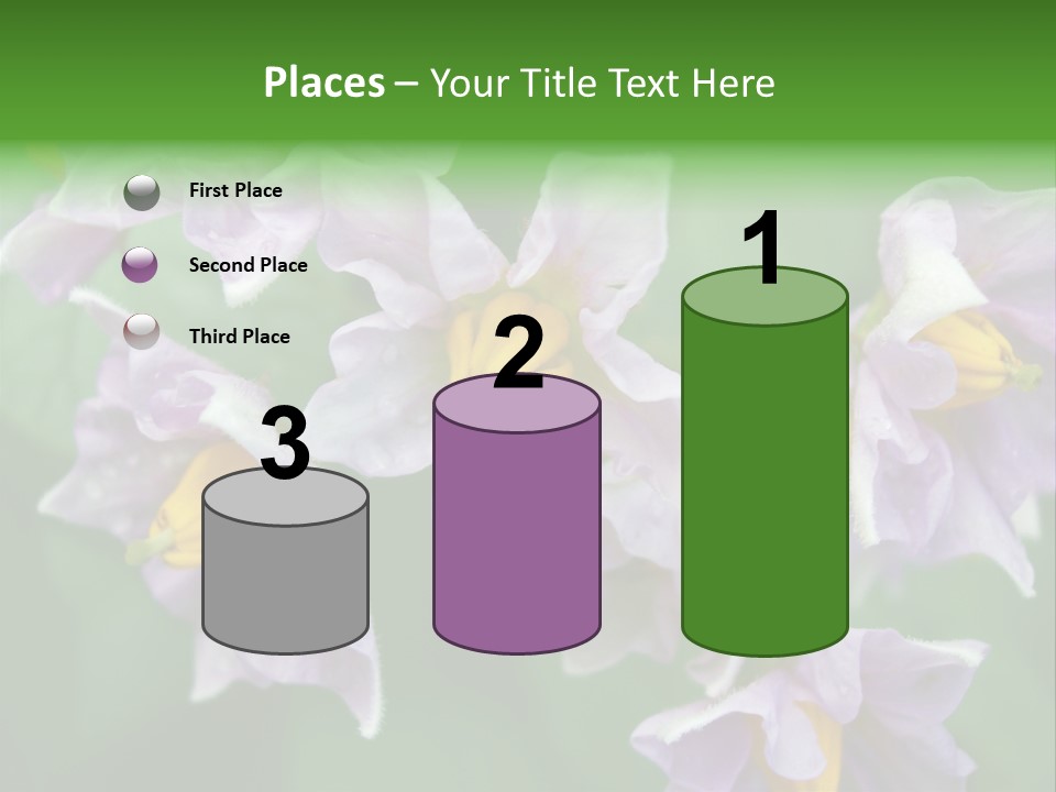 Flower From Yukon Gold Potato PowerPoint Template