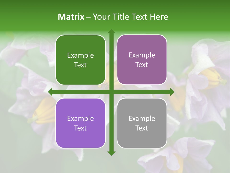 Flower From Yukon Gold Potato PowerPoint Template