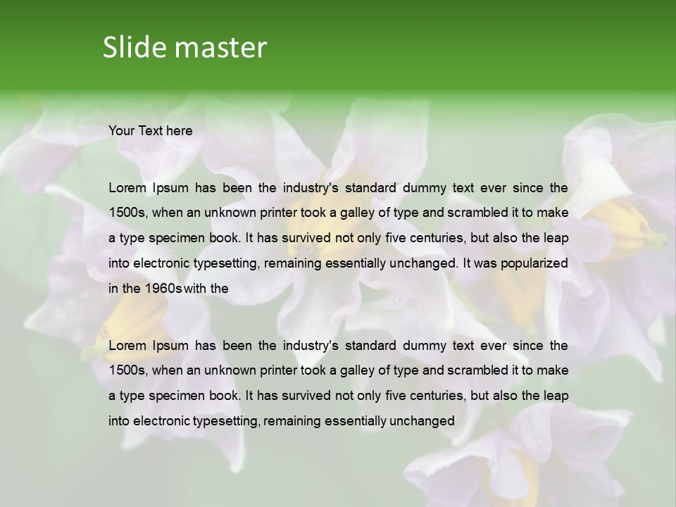 Flower From Yukon Gold Potato PowerPoint Template