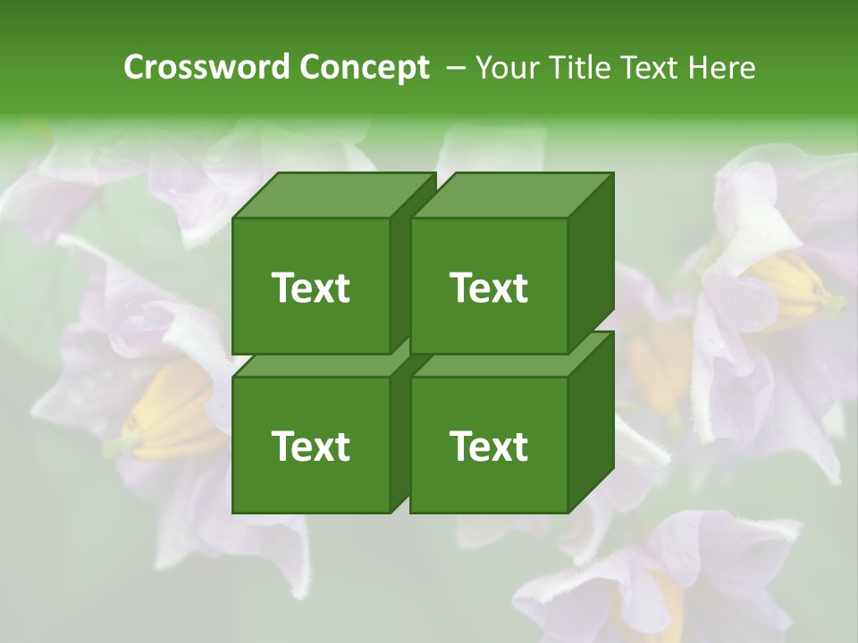 Flower From Yukon Gold Potato PowerPoint Template
