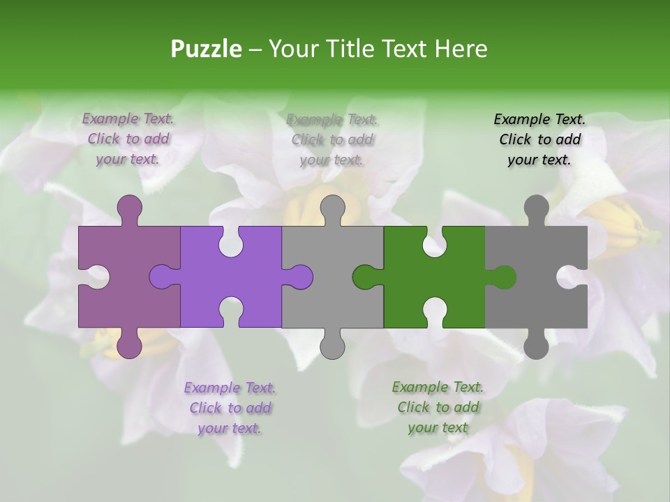 Flower From Yukon Gold Potato PowerPoint Template